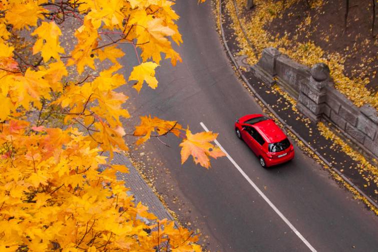 Autumn car trips: The best car rental options