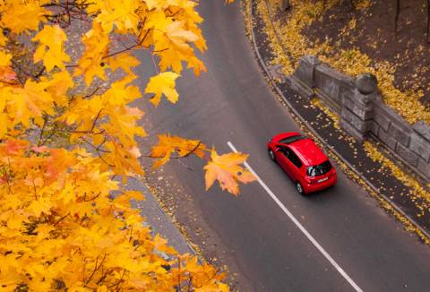 Autumn car trips: The best car rental options